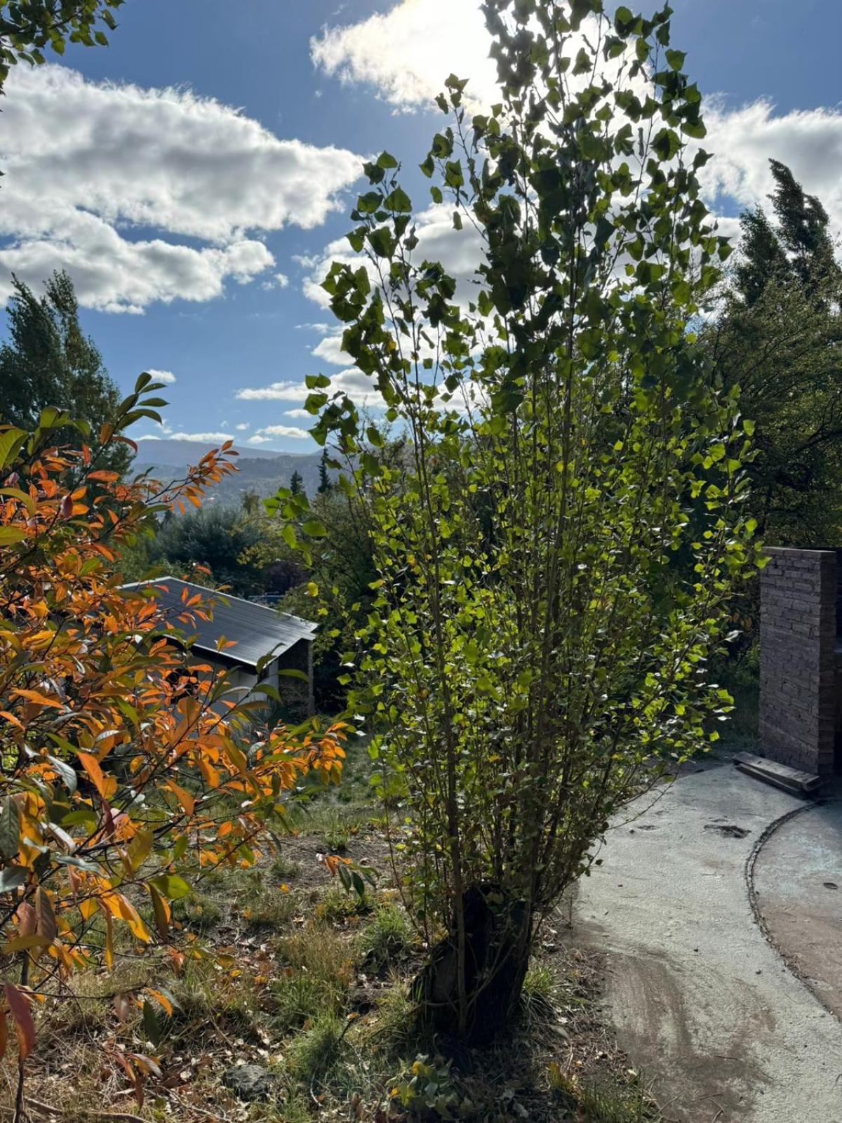 Huilen De Bandurrias Βίλα San Martín de los Andes Εξωτερικό φωτογραφία