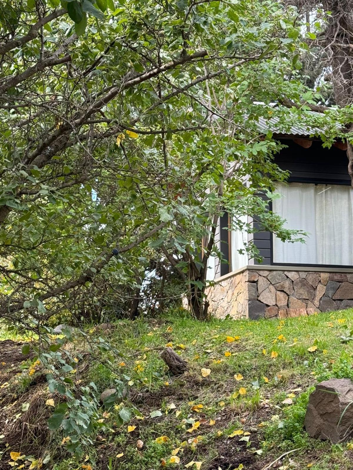 Huilen De Bandurrias Βίλα San Martín de los Andes Εξωτερικό φωτογραφία